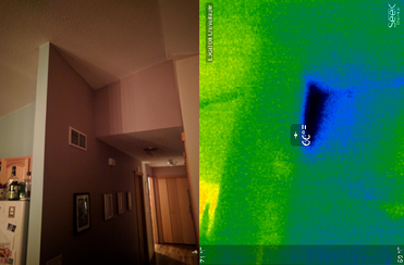 Infrared Thermal Imaging example of energy loss because of bad attic insulation.